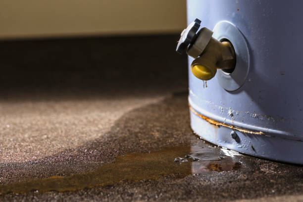 Best Residential water damage restoration  in Richfield, WI