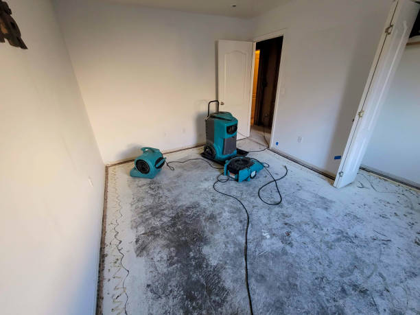 Best Flood damage cleanup  in Richfield, WI
