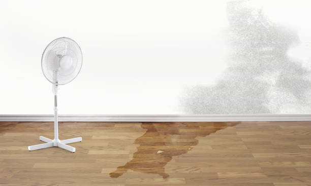 24/7 water damage repair in Richfield, WI